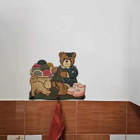 Teddy * Novi Sad
